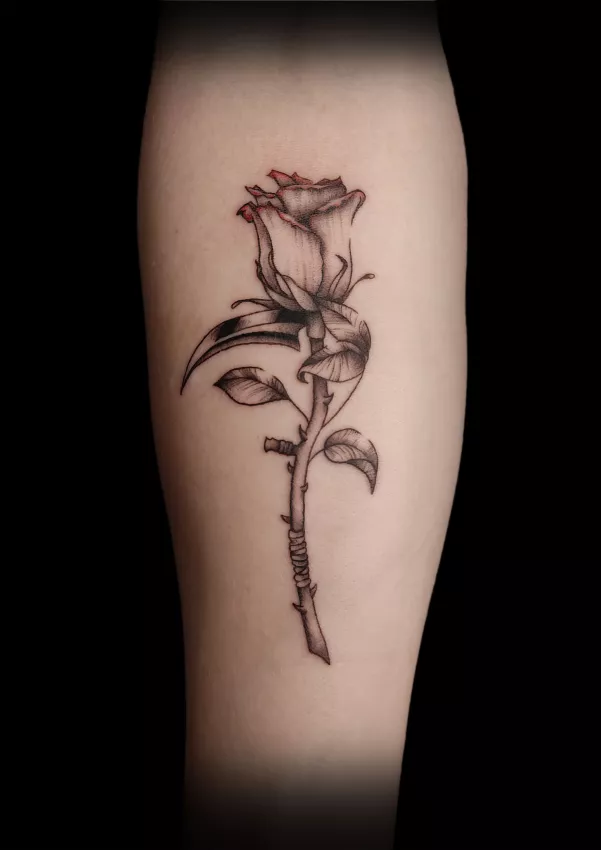 Illustration pour &laquo; Tatouage montagne &agrave; Grenoble : id&eacute;es sans tomber dans le clich&eacute; &raquo; au Studio Pixel &agrave; Grenoble